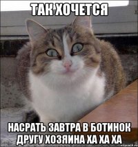 Так хочется насрать завтра в ботинок другу хозяина ха ха ха