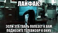 лайфак: эсли эта тварь полезет к вам, поднесите телевизор к окну.