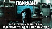 лайфак: если эта тварь полезет к вам, подставьте телевизор к открытому окну