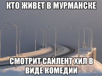 кто живет в мурманске смотрит сайлент хил в виде комедии