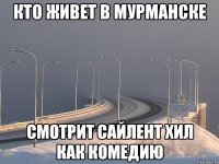 кто живет в мурманске смотрит сайлент хил как комедию