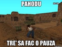 pahodu tre' sa fac o pauza