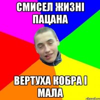 смисел жизні пацана вертуха кобра і мала