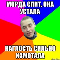 морда спит, она устала наглость сильно измотала