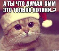 А ты что думал, SMM это только котики..? 