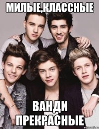 милые,классные ванди прекрасные