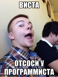 виста отсоси у программиста