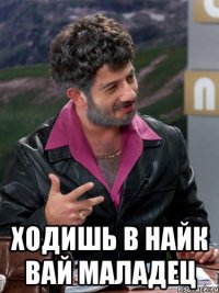  ходишь в найк вай маладец