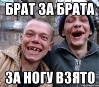 брат за брата за ногу взято