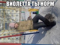 Виолетта ты норм 