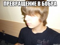 превращение в бобра 