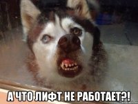  А что лифт не работает?!