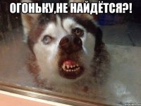 огоньку,не найдётся?! 