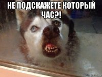 не подскажете который час?! 