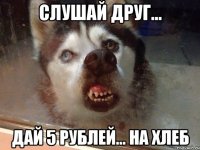 Слушай друг... дай 5 рублей... на хлеб