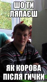шо ти ляпаєш як корова після гички