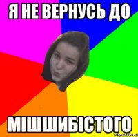 я не вернусь до мішшибістого