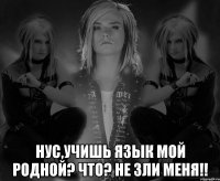  нус,учишь язык мой родной? ЧТО? НЕ ЗЛИ МЕНЯ!!