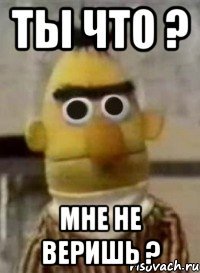 Ты что ? Мне не веришь ?