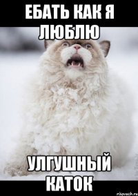 ебать как я люблю улгушный каток