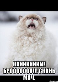  Кииииииим! Брооооооо!!! Скинь мяч.