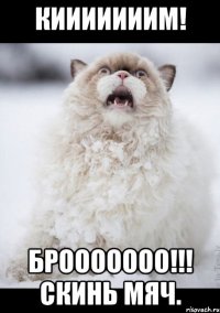 Кииииииим! Брооооооо!!! Скинь мяч.
