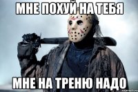 мне похуй на тебя мне на треню надо