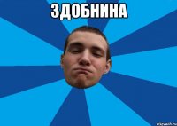 ЗДОБНИНА 