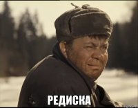  редиска