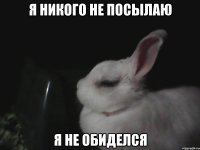 Я никого не посылаю Я не обиделся
