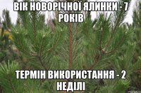 Вік новорічної ялинки - 7 років Термін використання - 2 неділі