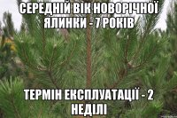 Середній вік новорічної ялинки - 7 років Термін експлуатації - 2 неділі