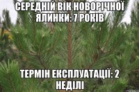Середній вік новорічної ялинки: 7 років Термін експлуатації: 2 неділі
