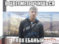 в цветмете учишься лох ебаный