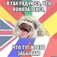 Я так радуюсь, что поняла текст, Что тут же его забываю
