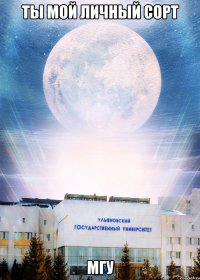 ты мой личный сорт мгу