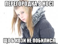 перегородка в носі що б кози не побилися