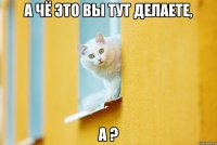 А чё это вы тут делаете, а ?