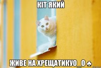 КІт який Живе на ХрещатикуО_О ♣