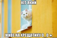 КІт який Живе на Хрещатику О_О ♣