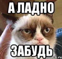 А ладно забудь