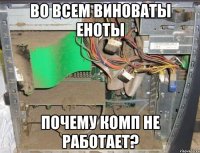 Во всем виноваты еноты Почему комп не работает?