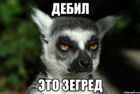 Дебил это зегред