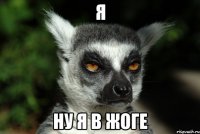 Я Ну я в жоге