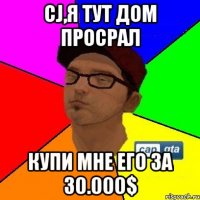 CJ,я тут дом просрал купи мне его за 30.000$
