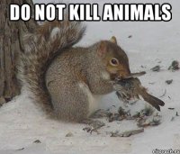 Do not kill animals 