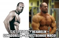  CJC 1295 DAC + Hexarelin + Gonadorelin = качественное мясо!