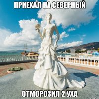 приехал на северный отморозил 2 уха