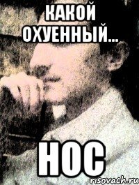 какой охуенный... нос