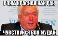 Рожа красная как рак чувствую я бля мудак